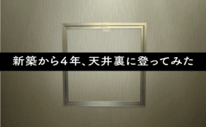新築から4年、天井裏に登ってみた
