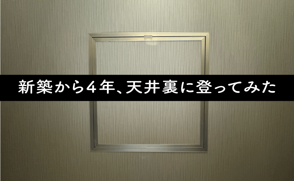 新築から4年、天井裏に登ってみた